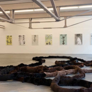 Zeit für A–Zeit für F / Vebikus Kunsthalle Schaffhausen / Schweiz 2015